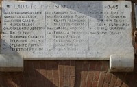 113.JPG