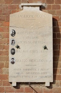 131.JPG
