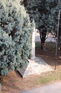 132.JPG