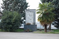 150.JPG