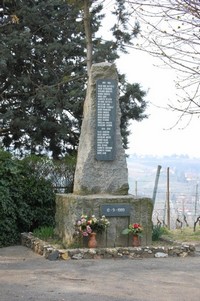 155.JPG