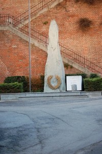 157.JPG