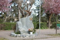 191.JPG