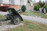 195.JPG