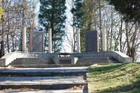 198.JPG