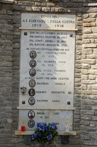290.JPG