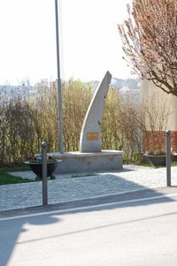 293.JPG
