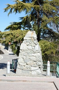 297.JPG