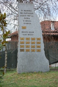 305.JPG