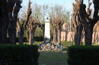 310.JPG