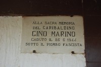 319.JPG