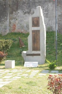 359.JPG