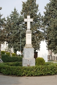 446.JPG