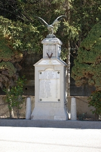 449.JPG