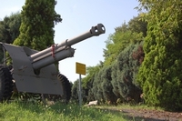 454.JPG