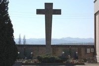 486.JPG