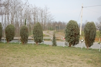 507.JPG