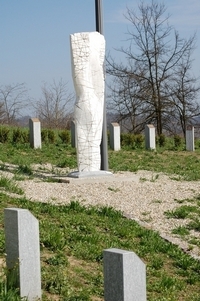 550.JPG