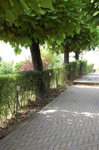 554.JPG