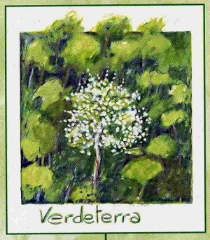 Logo Verdeterra